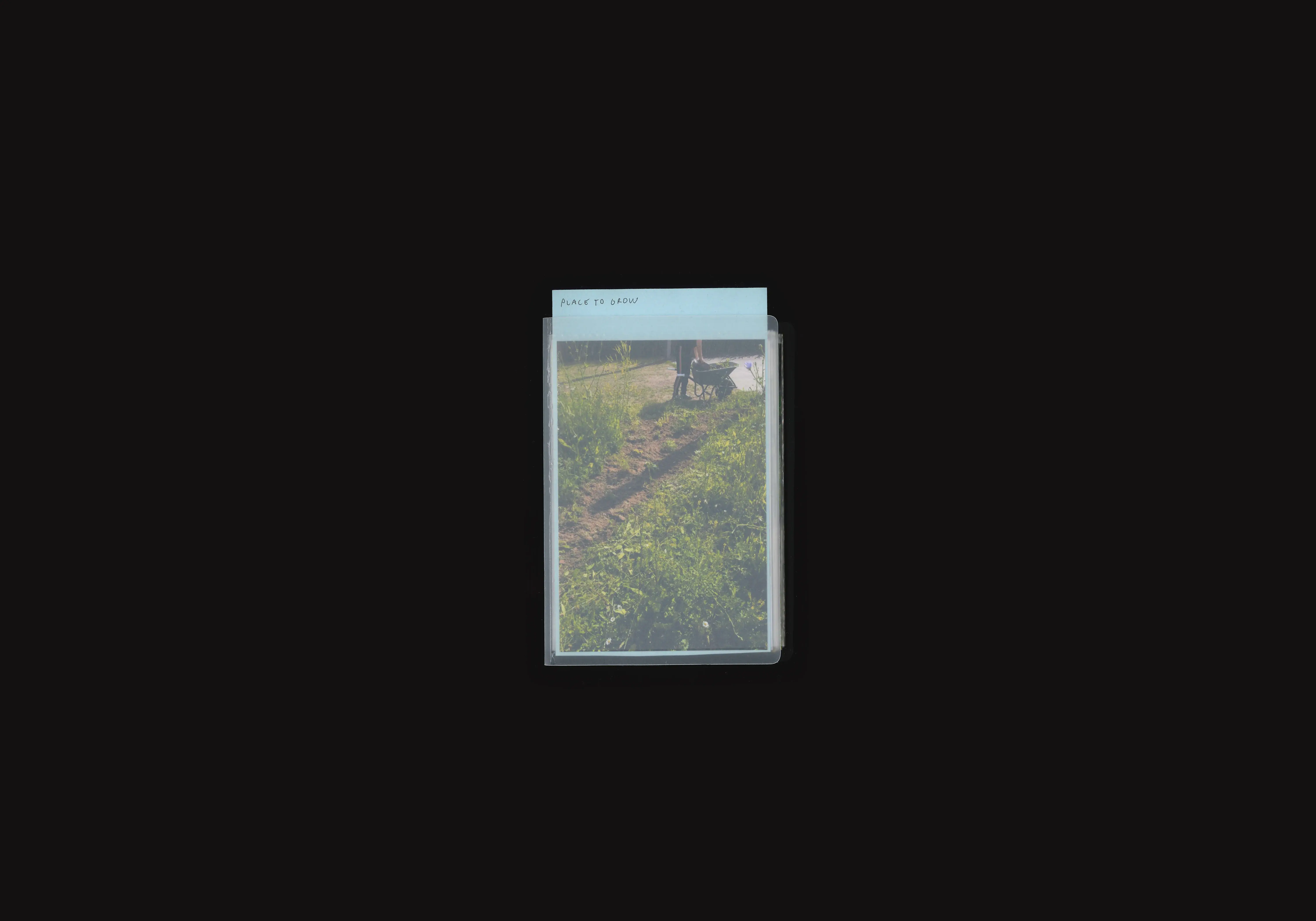 Place to Grow